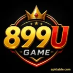 899U Game