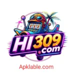 HI309 Game