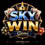 Skywin Game