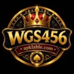 WGS456 Game