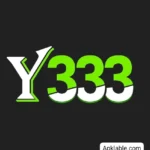 Y333 Game